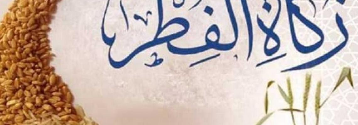 زكاة الفطر